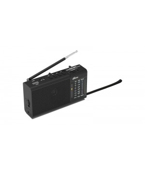 Колонка Активная Ritmix RPR155 (Портативный радиоприемник)