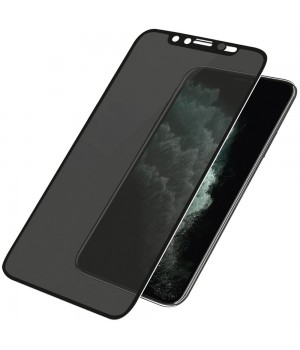 Защитное стекло Apple iPhone Xr / 11 Breaking Private (Черное)