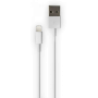 КаБель Apple Lightning 8 pin Olmio Белый (2 метра)